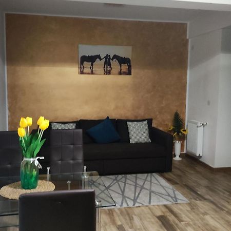 Apartament Lenus'K Apartman Bukarest Kültér fotó